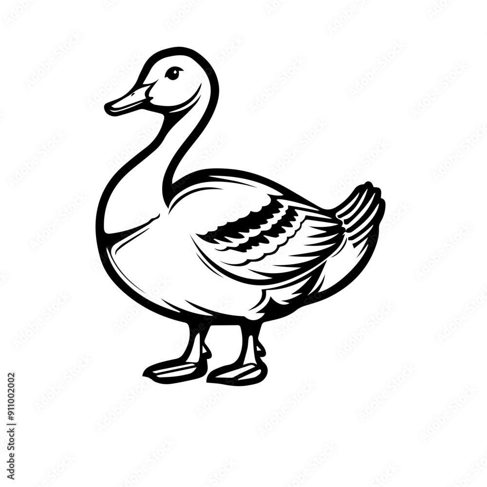 animal animal