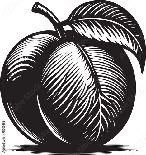 Apricot coloring black color silhouette vector art