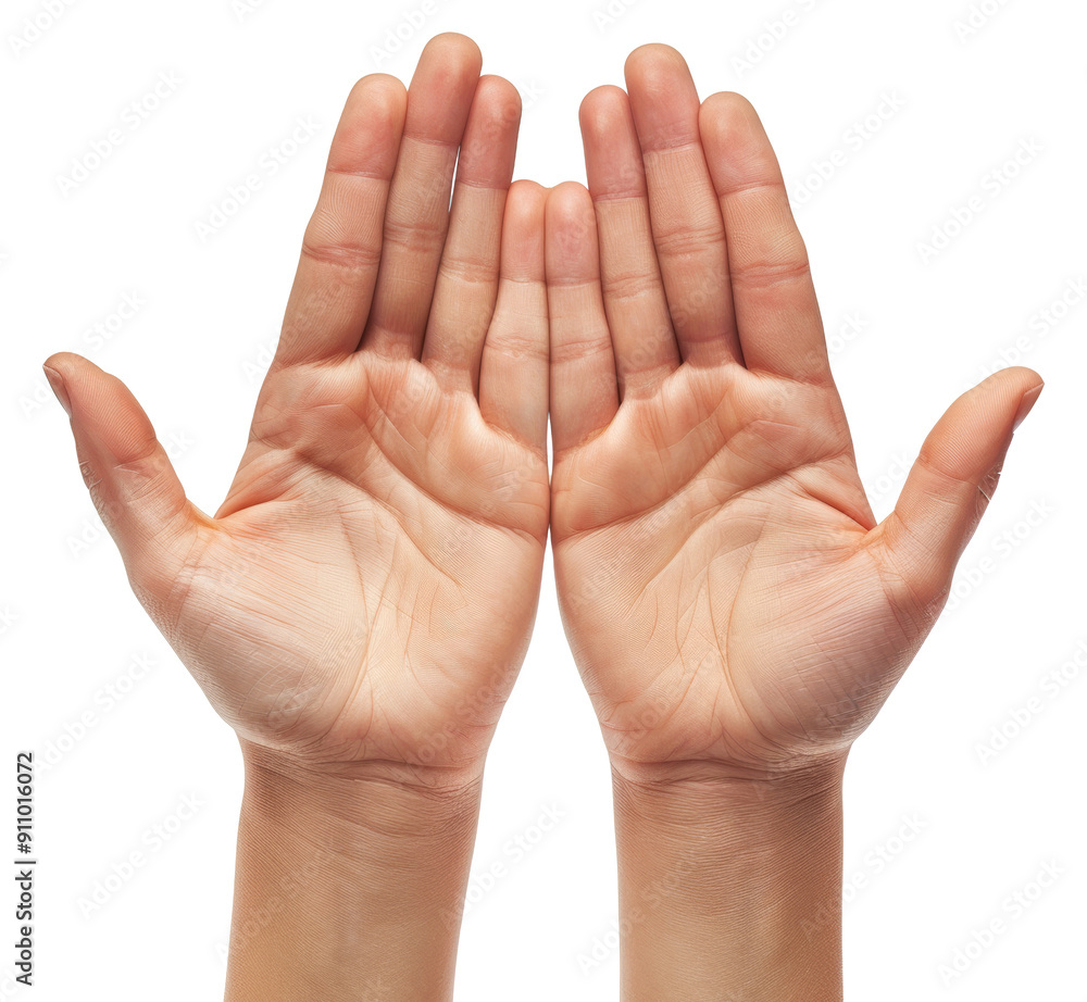 Palms of two hands isolated on transparent background Palms of two hands isolated on transparent background