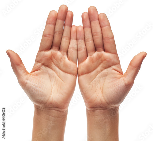 Palms of two hands isolated on transparent background