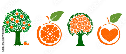 Set icon orange fruit.  icon set of various fruit - orange isolated on White background. Vector illustration