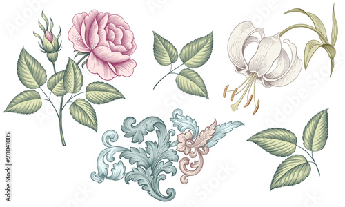 Rose lily flower vintage Baroque Victorian pink white floral ornament set green leaf engraved pattern decorative tattoo botany vector