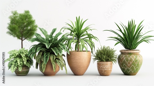 3D illustration of set houseplant potted isolated on white background