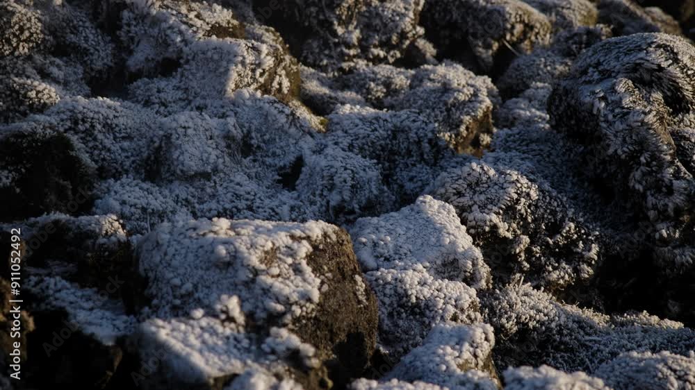 Close-Up of Frosted Rocks Beside Eldvörp Crater with Light Snow Close-Up of Frosted Rocks Beside Eldvörp Crater with Light Snow
