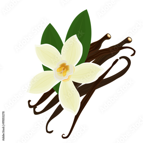Vector illustration logo clip art Dried vanilla stick and vanilla flower isolated