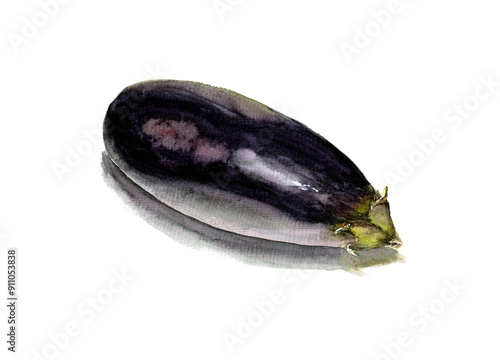 Wallpaper Mural Eggplant, vegetables for cooking. Watercolor on paper Torontodigital.ca
