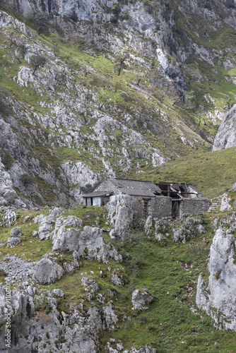 Picos de Europa (Asturias)