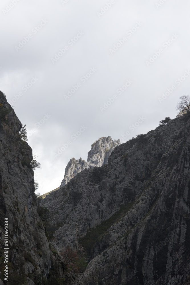 Obraz premium Picos de Europa (Asturias)