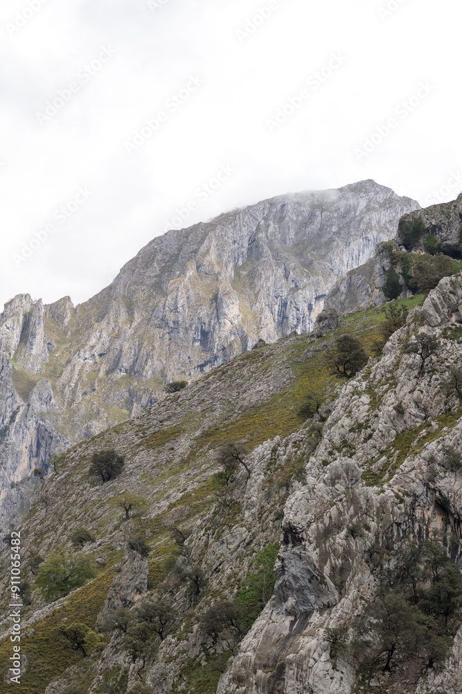 Picos de Europa (Asturias) Picos de Europa (Asturias)