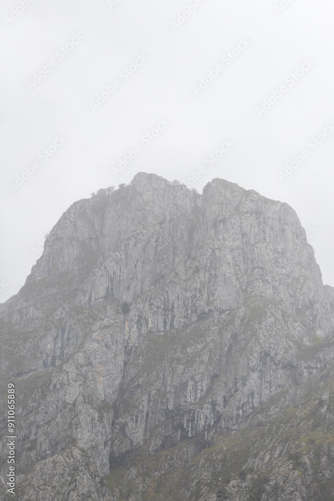 Picos de Europa (Asturias)