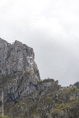 Picos de Europa (Asturias)