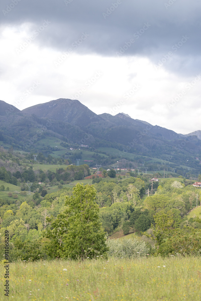 Fototapeta premium Picos de Europa (Asturias)