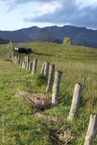 Picos de Europa (Asturias) photo