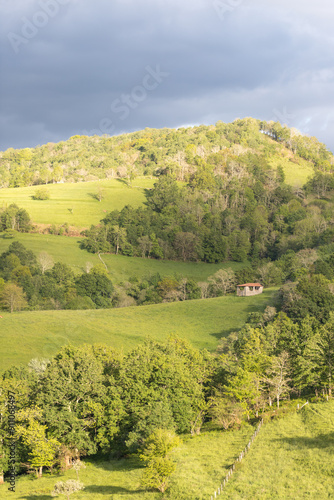 Picos de Europa (Asturias) photo