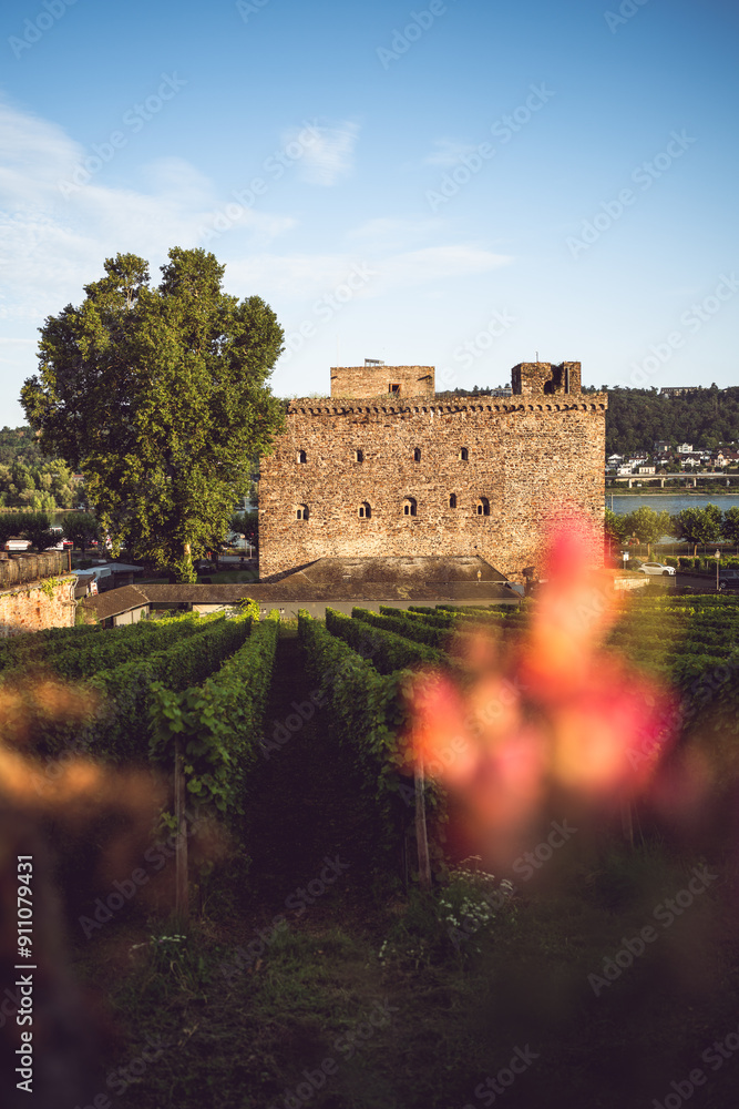 Fototapeta premium Brömersburg in Rüdesheim, August 2024