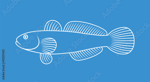 Sea goby outline. Isolated sea goby on white background