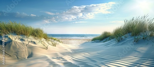 Ideal for travel blogs and nature lovers showcasing serene beach scenes with sand dunes set against a clear blue sky leaving room for text in the copy space image photo