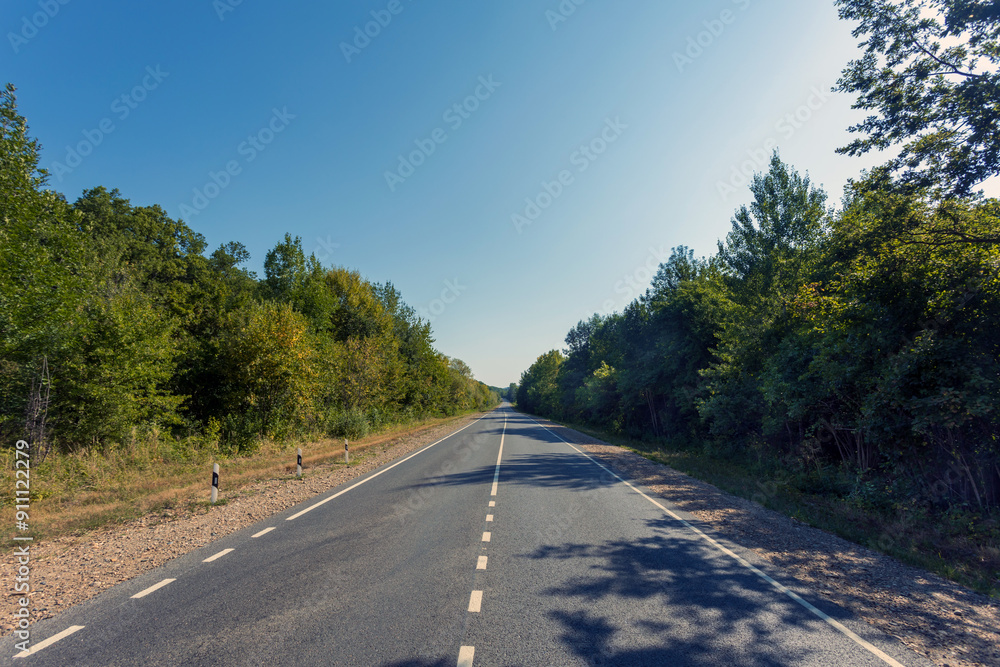 Fototapeta premium Landscape with empty asphalt road through forest, blue sky