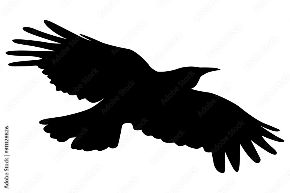 Silhouette of a Bird in Flight for Design Decoration Silhouette of a Bird in Flight for Design Decoration
