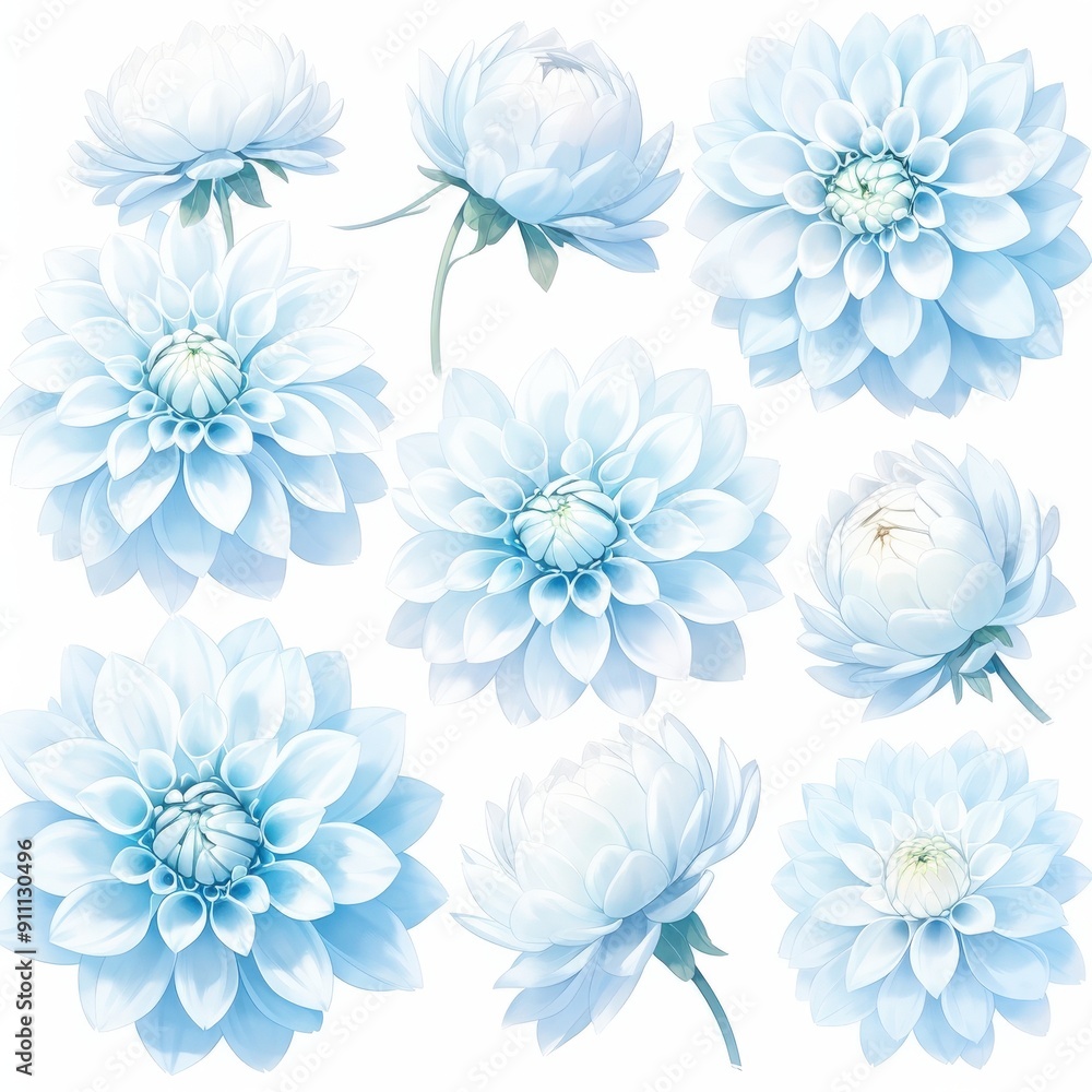 A Collection of Light Blue Dahlias in Various Stages of Bloom A Collection of Light Blue Dahlias in Various Stages of Bloom
