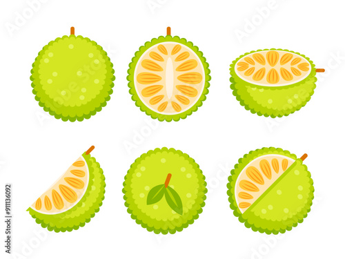 Jackfruit tropical fruit with Seed Coat and Fibrous Core