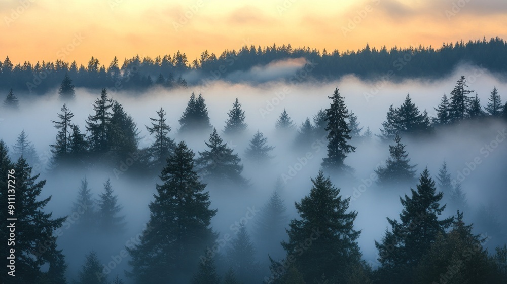 ethereal photo fog rolling forested ethereal photo fog rolling forested