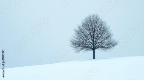 Minimalist photograph of a lone tree in a vast snowy landscape, emphasizing isolation and the stark beauty of nature