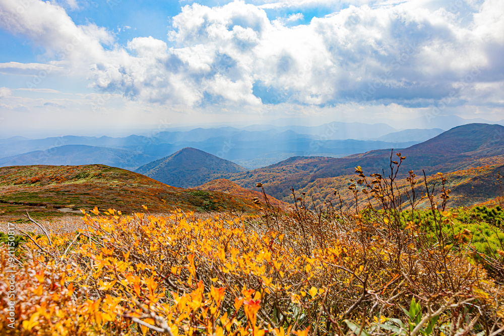 Fototapeta premium 栗駒山 秋の絶景風景 