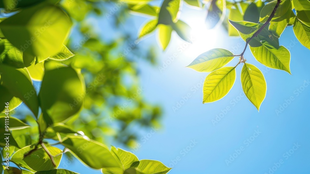 Fresh nature portrayed by green leaves under clear blue sky Fresh nature portrayed by green leaves under clear blue sky