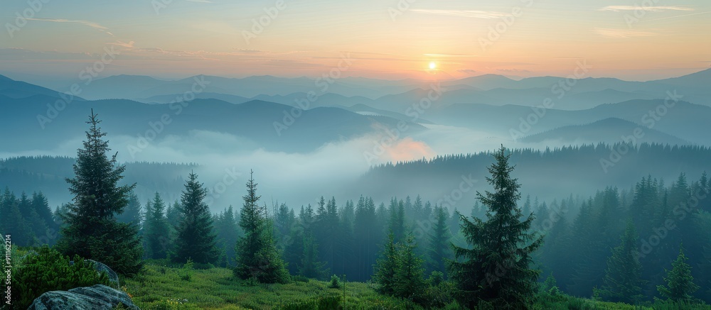 Fototapeta premium Serene Sunrise Over Misty Mountain Range with Pine Trees and Rolling Hills
