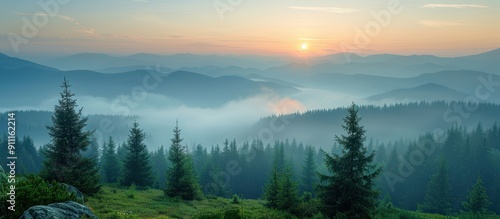 Wallpaper Mural Serene Sunrise Over Misty Mountain Range with Pine Trees and Rolling Hills Torontodigital.ca