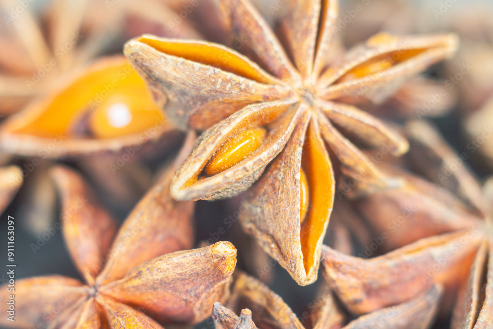 Close-up of star anise, showing their texture and detail Close-up of star anise, showing their texture and detail