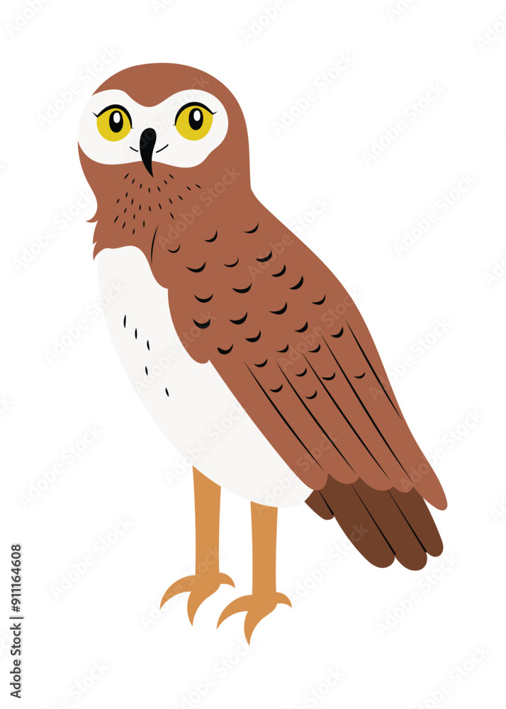 Obraz premium Cute standing pygmy owl, with brown feathers and yellow eyes. Hand drawn little bird vector illustration, isolated on white