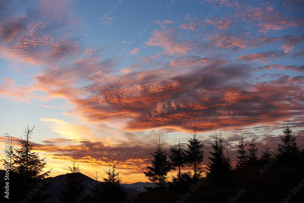 Row of silhouetted pine trees stands against vibrant sunset sky, painted with brilliant shades of pink, orange, purple. Dramatic clouds add depth to scene, creating mesmerizing and tranquil landscape. Row of silhouetted pine trees stands against vibrant sunset sky, painted with brilliant shades of pink, orange, purple. Dramatic clouds add depth to scene, creating mesmerizing and tranquil landscape.