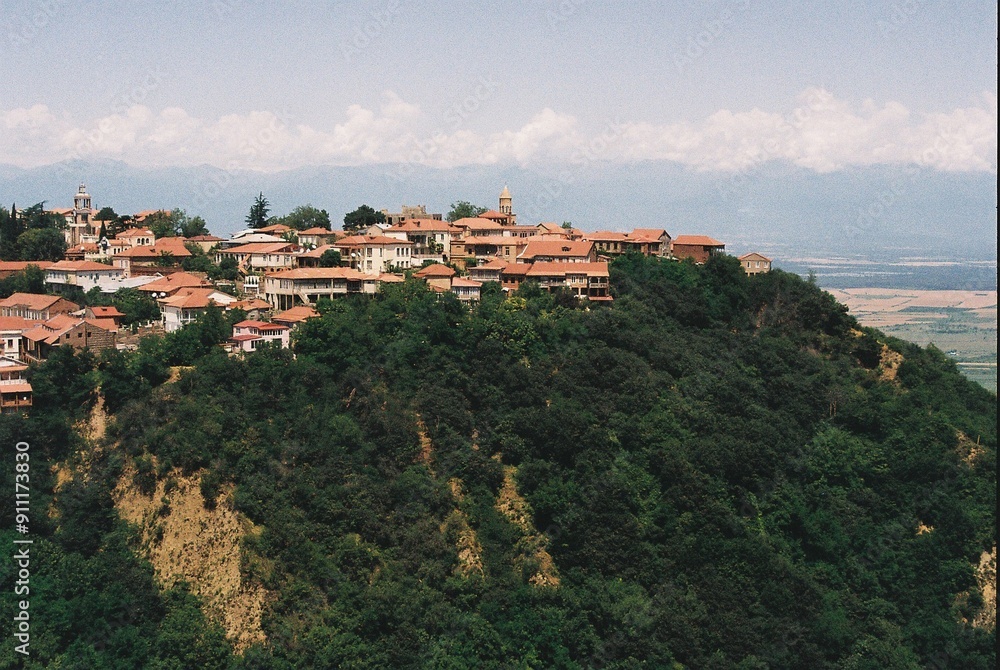 Obraz premium Georgian architecture