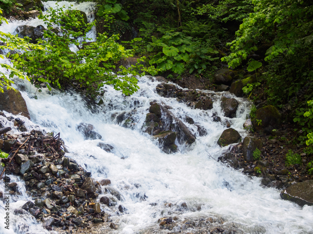The flow of a mountain river passing through a lush green forest creates a peaceful and picturesque scene in nature The flow of a mountain river passing through a lush green forest creates a peaceful and picturesque scene in nature