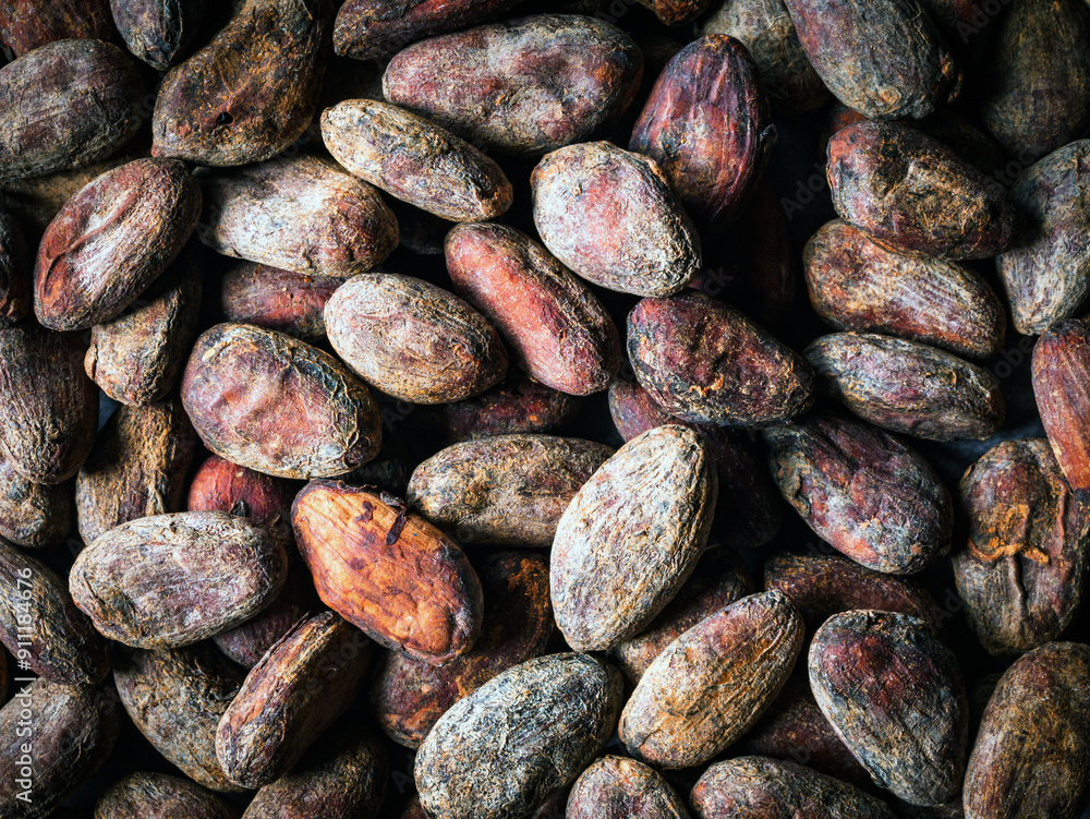 Cocoa beans background, close-up of cocoa bean, dried broken cocoa beans Cocoa beans background, close-up of cocoa bean, dried broken cocoa beans