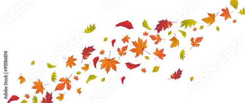 Autumn falling leaves isolated on white background. Autumn maple and oak leaves.