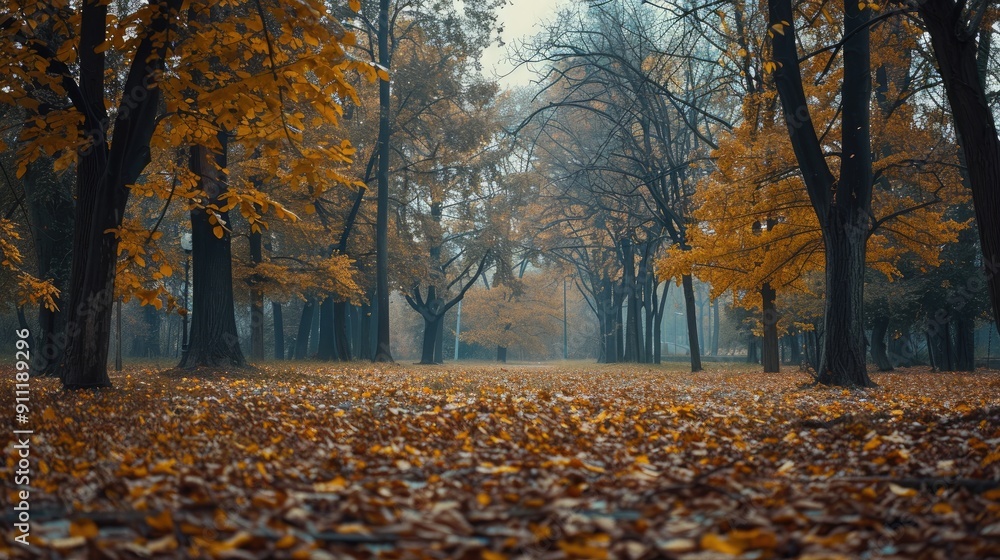 Autumnal Park with Beautiful Trees Autumnal Park with Beautiful Trees