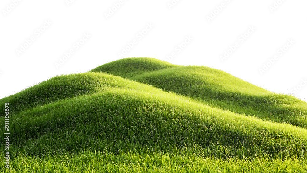 Obraz premium Green field isolated on transparent background.