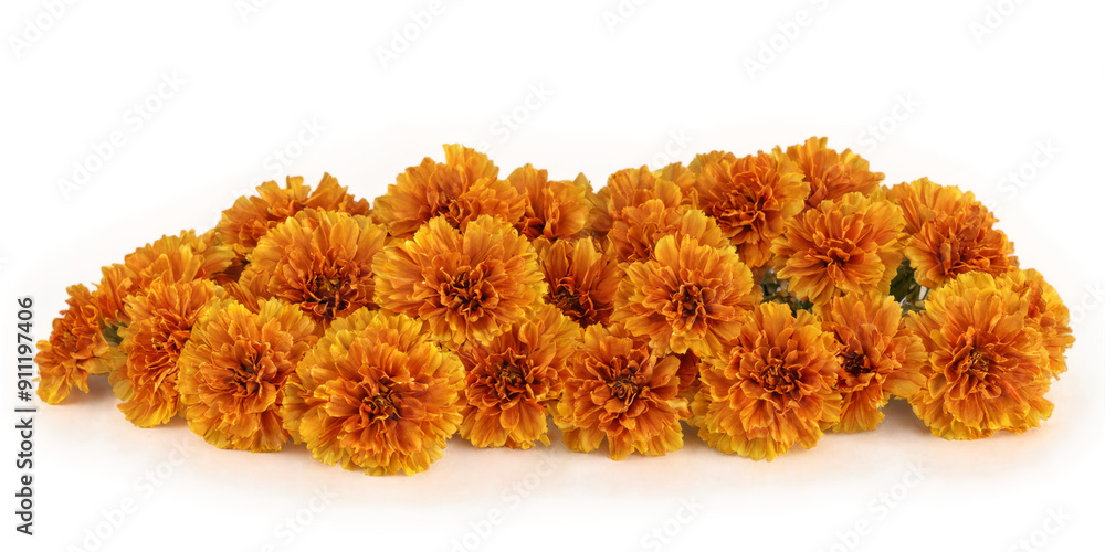 Close-up bunch orange yellow flowers flowers are arranged beautiful orange and yellow Close-up bunch orange yellow flowers flowers are arranged beautiful orange and yellow