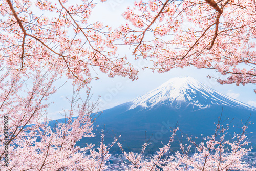 新倉山浅間公園の春景色　満開の桜と冠雪した富士山【山梨県・富士吉田市】　
Spring scenery of Arakurayama Sengen Park. Cherry blossoms in full bloom and snow capped Mt. Fuji. - Yamanashi, Japan photo