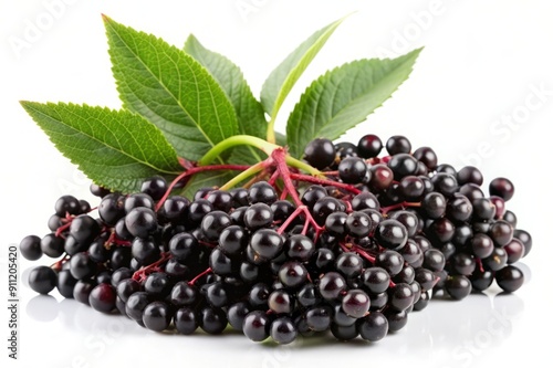 Fresh Elderberries with Green Leaves Isolated on White.