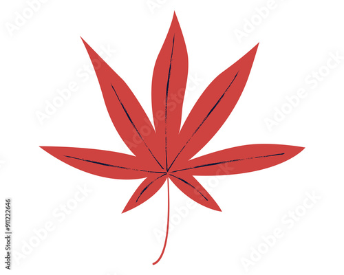 Red leaf illustration of Japanese maple. Minimalist style drawing with rough texture details isolated on white background.