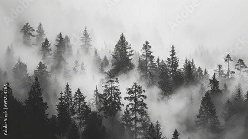 A monochrome background featuring a misty forest scene in black and white, with tall trees shrouded in fog creating a mysterious and atmospheric visual effect