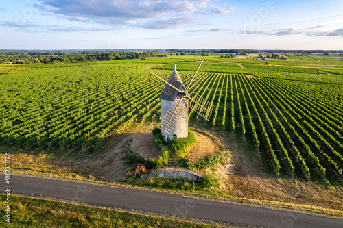Canvastavla Saint Aubin de Branne, windmill, Bordeaux vineyard, Gironde department, Nouvelle