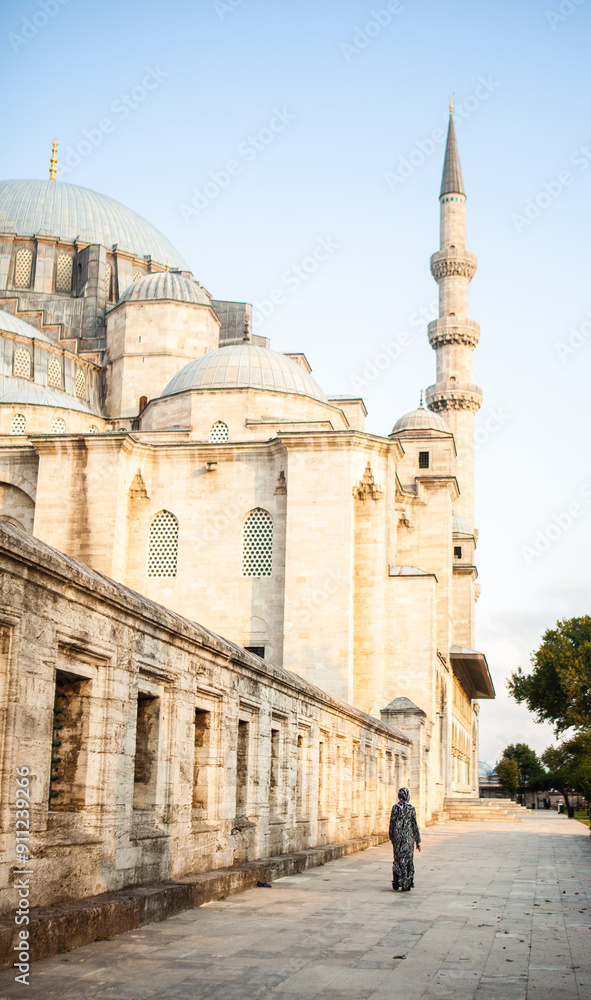 Obraz premium The Blue Mosque or Sultan Ahmet Mosque of Istanbul, evening view, Turkey
