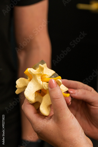 A Person holding a piece of Spine bone structure