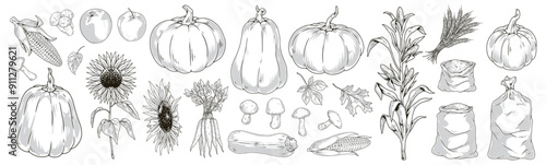 Autumn harvest monochrome set labels