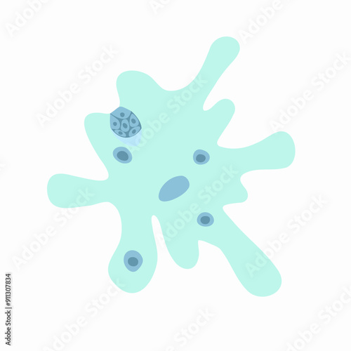 Vector isolated illustration of amoeba proteus on a white background. Studying the structure of an amoeba.